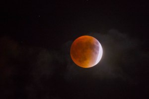 NKN_2908-edit1-edit1